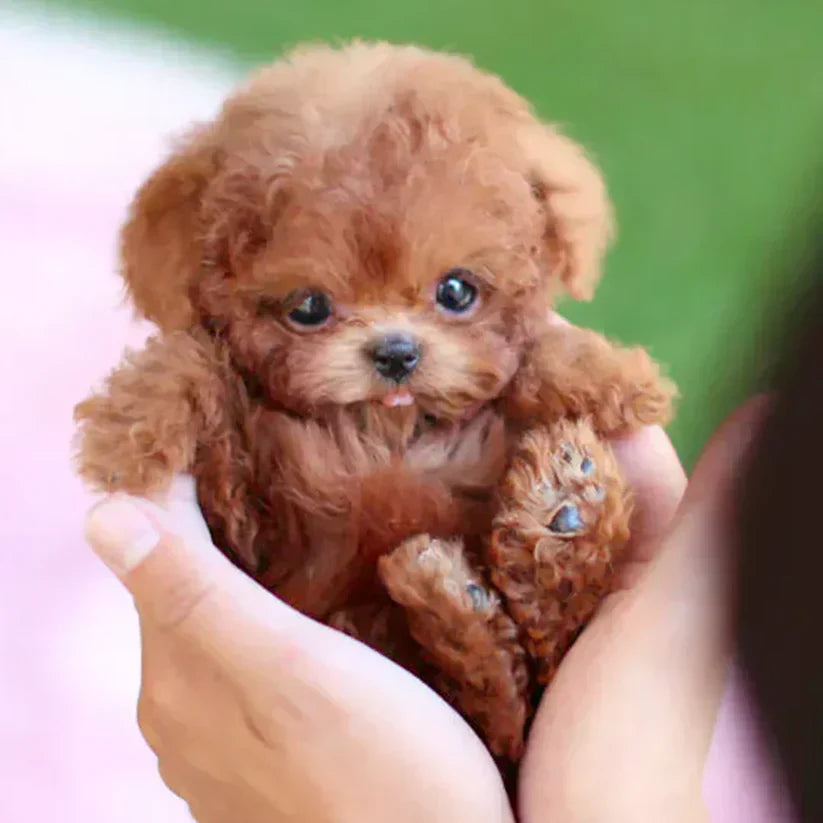 🐶DIVIFIT🐶My Realistic Robot Puppy