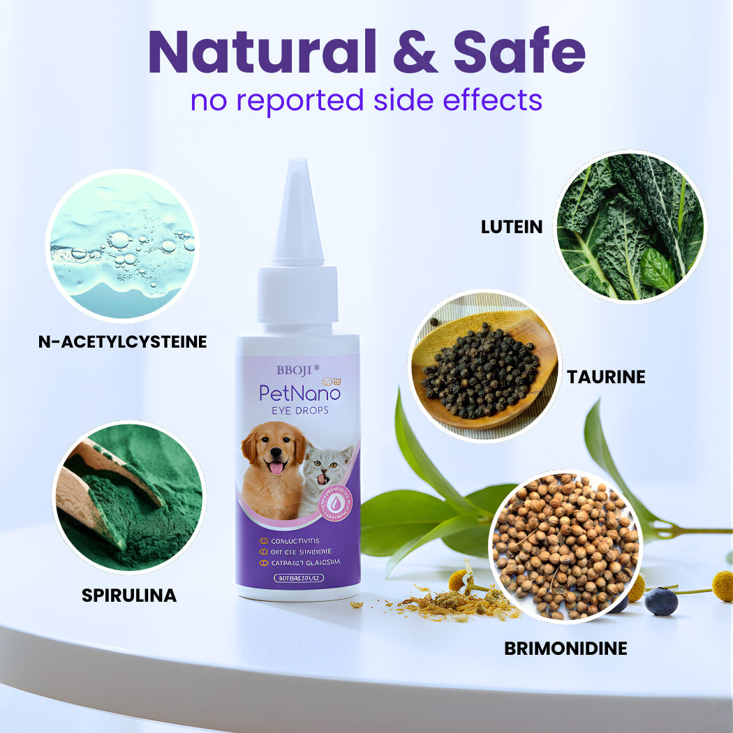 🎅𝘾𝙝𝙧𝙞𝙨𝙩𝙢𝙖𝙨 𝙎𝙖𝙡𝙚 | BBOJI® PetNano Eye Drops